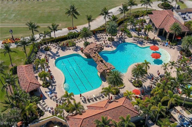 view of pool featuring a patio