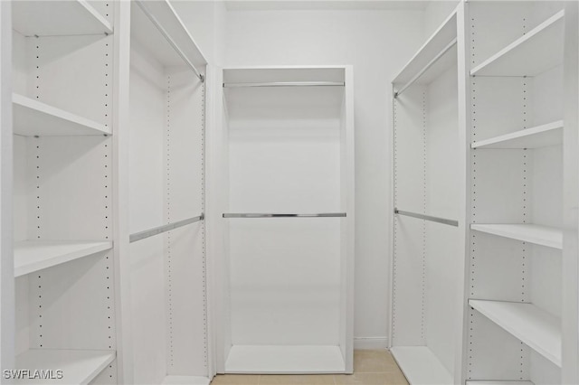 view of spacious closet