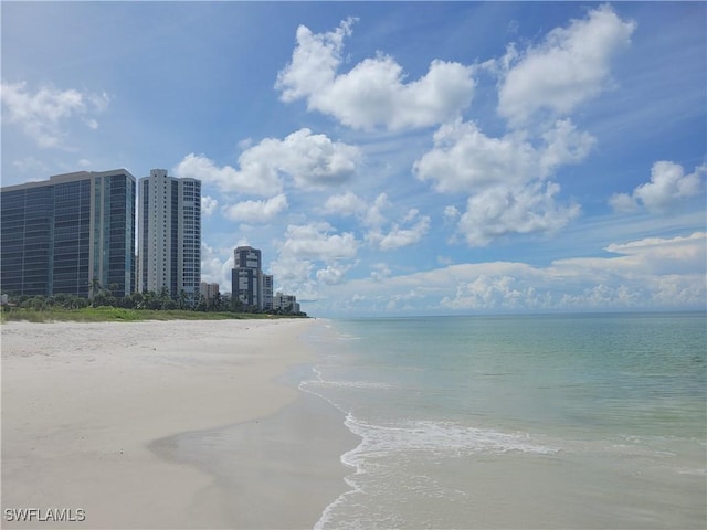 property view of water featuring a city view and a view of the beach