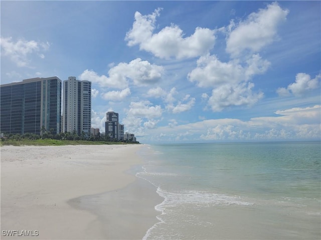 property view of water with a beach view