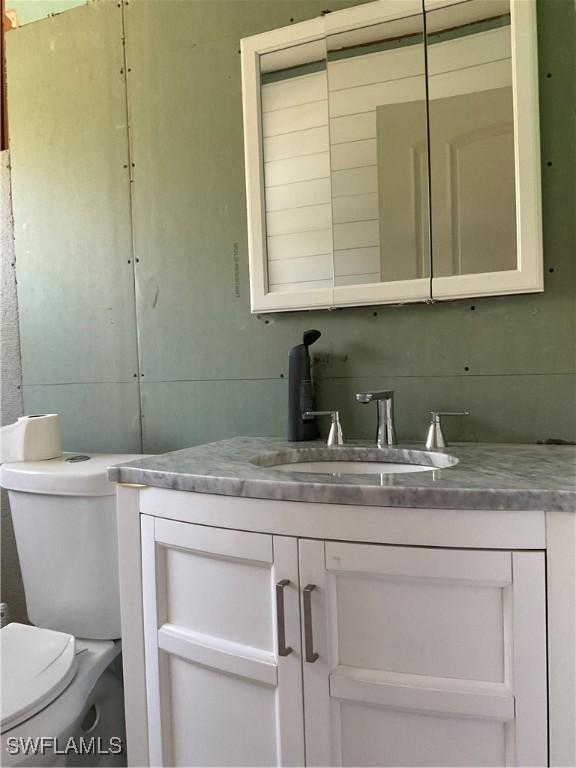 bathroom with toilet and vanity