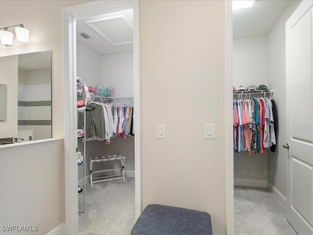 walk in closet with visible vents, attic access, and carpet flooring