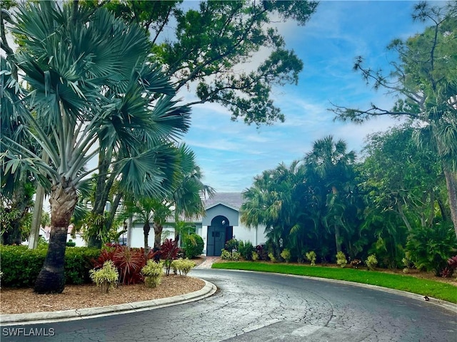 view of street with curbs