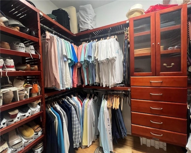 spacious closet featuring light wood-style floors