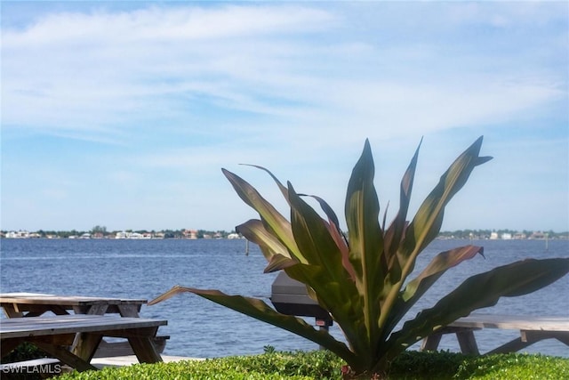 water view featuring a boat dock