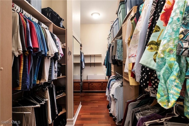 spacious closet featuring wood finished floors