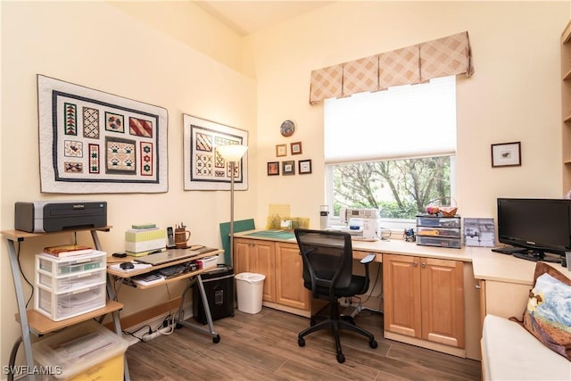 office area featuring dark wood-style floors