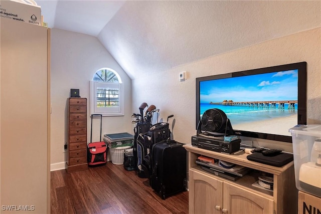 office space featuring dark wood-style floors and vaulted ceiling