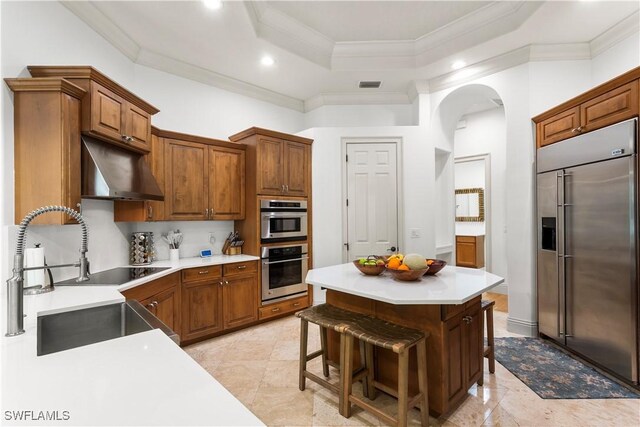 kitchen with under cabinet range hood, a tray ceiling, a sink, stainless steel appliances, and arched walkways