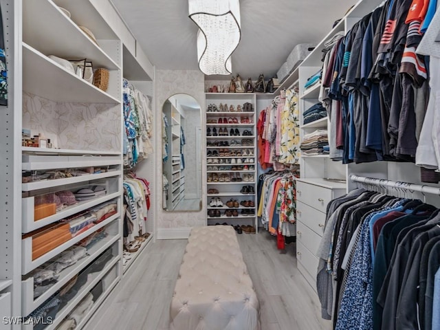 spacious closet with light wood finished floors