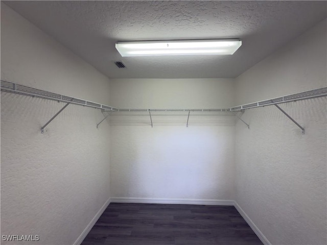 spacious closet featuring dark wood-type flooring