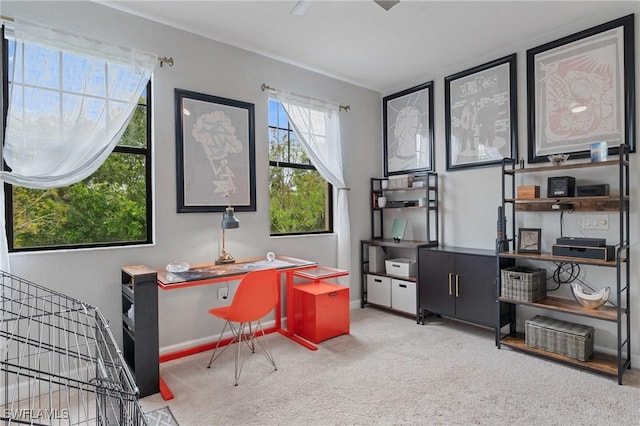 office featuring baseboards and carpet flooring