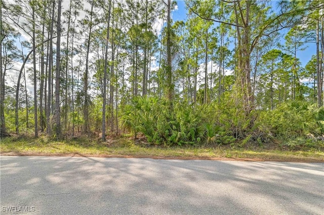 Listing photo 2 for 2017 Grant Ave, Alva FL 33920