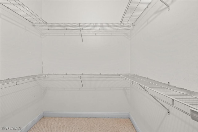 walk in closet featuring light carpet