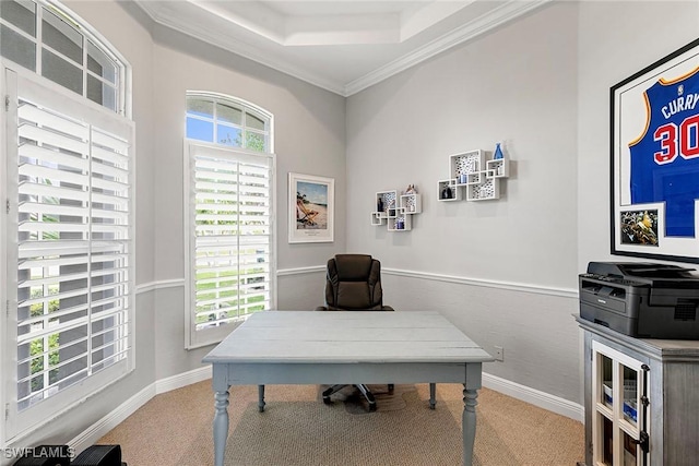 office space with light colored carpet, a raised ceiling, crown molding, and baseboards