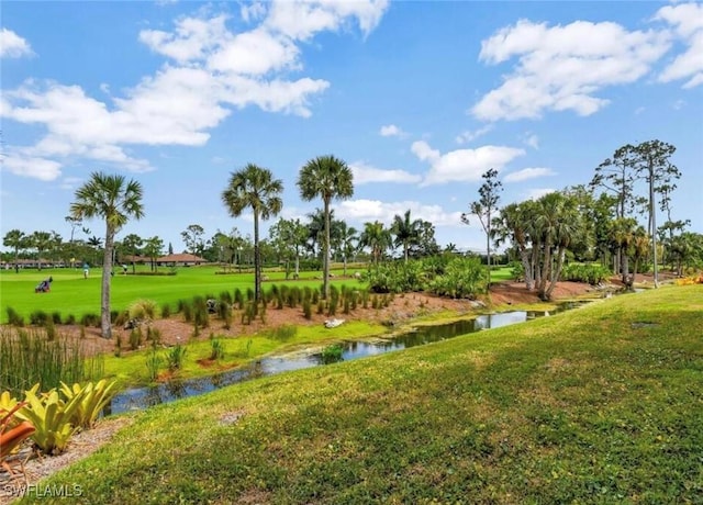 view of property's community featuring a water view and a lawn