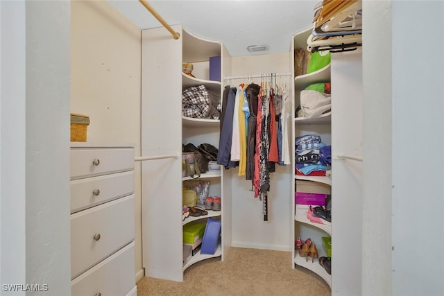 spacious closet featuring carpet