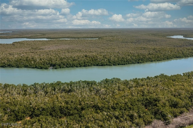 drone / aerial view featuring a view of trees and a water view