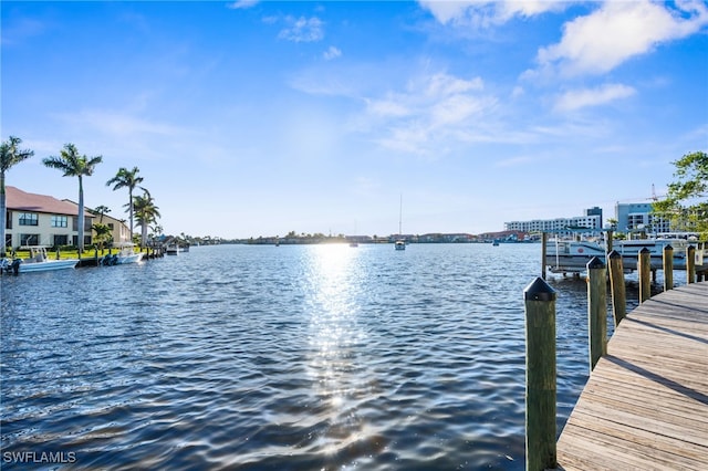 dock area featuring a water view