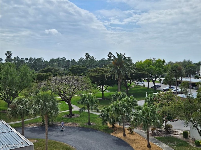 surrounding community featuring a yard