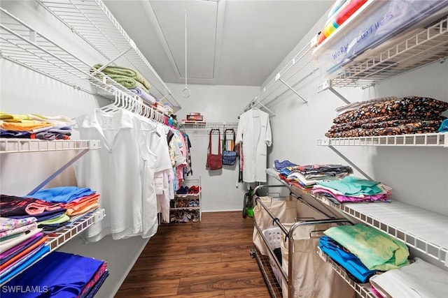 walk in closet with attic access and wood finished floors