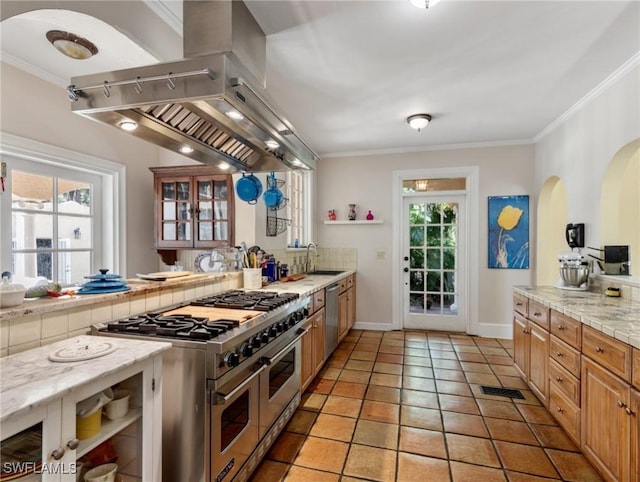 kitchen featuring a sink, appliances with stainless steel finishes, crown molding, and island range hood