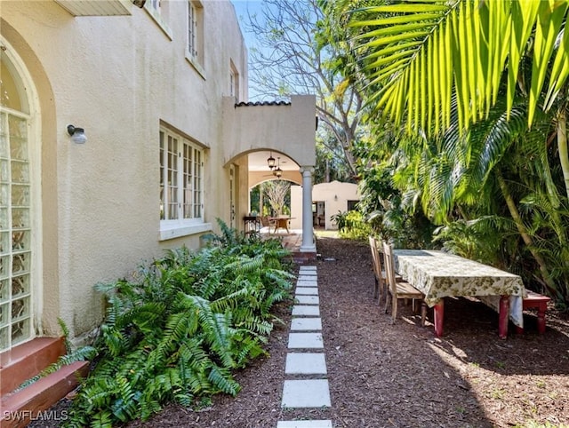 view of yard featuring a patio