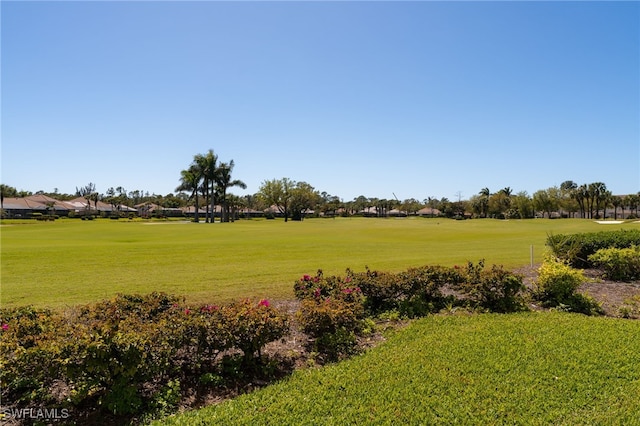 view of community featuring a yard