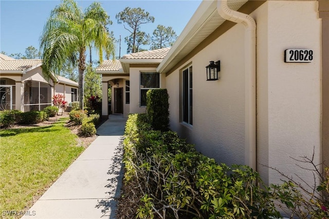 view of exterior entry with stucco siding, a yard, and a tile roof