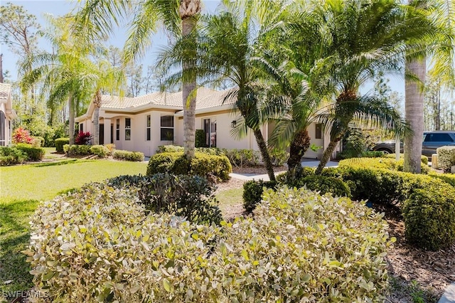 rear view of property featuring a tile roof, a yard, and stucco siding