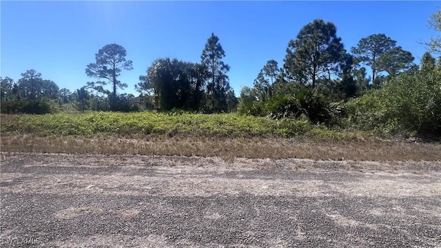 636 Mulberry Ave S, Lehigh Acres FL, 33974 land for sale