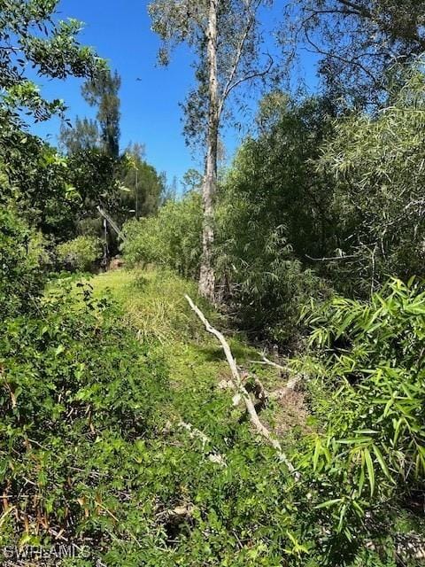 19230 Poor Ln, North Fort Myers, FL 33917 - view of nature