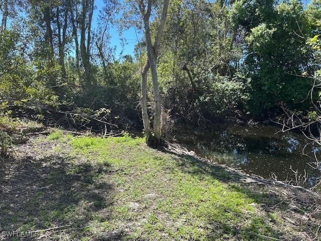 19230 Poor Ln, North Fort Myers, FL 33917 - view of yard with a view of trees