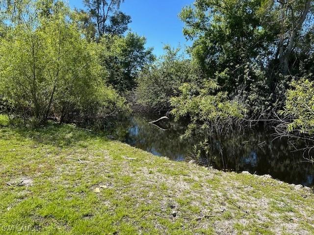 view of local wilderness featuring a water view