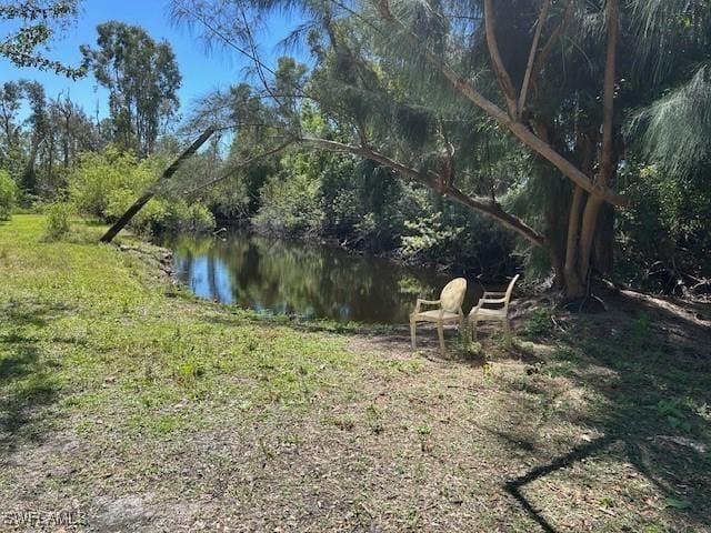 19230 Poor Ln, North Fort Myers, FL 33917 - view of yard