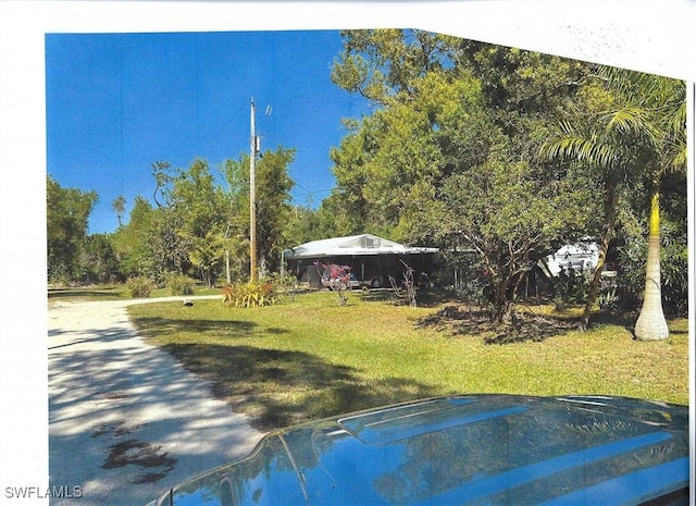 19230 Poor Ln, North Fort Myers, FL 33917 - view of yard