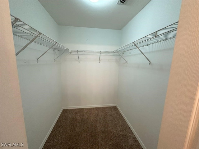 walk in closet featuring visible vents and carpet floors