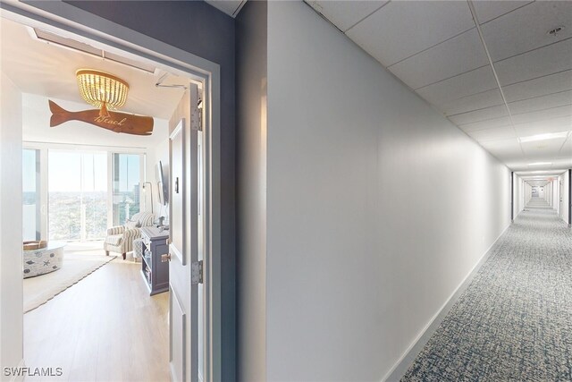 corridor featuring baseboards, a drop ceiling, and light carpet