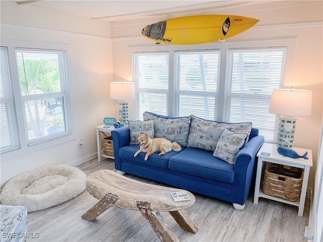 living area with baseboards and wood finished floors