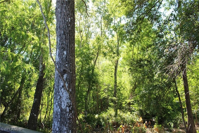 view of local wilderness with a forest view