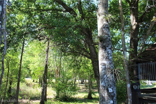 view of local wilderness with a forest view