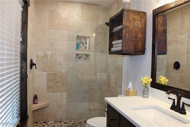 full bathroom with toilet, vanity, and walk in shower