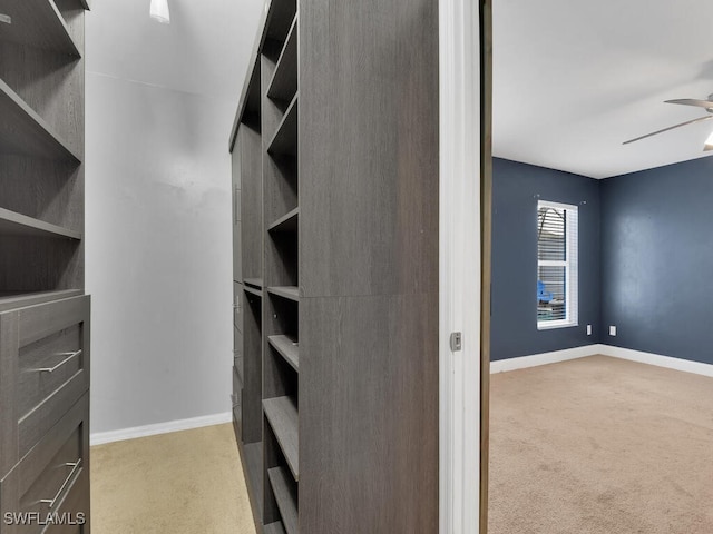 walk in closet featuring carpet floors and ceiling fan