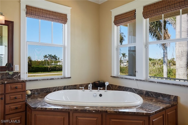 full bath featuring a healthy amount of sunlight and a tub