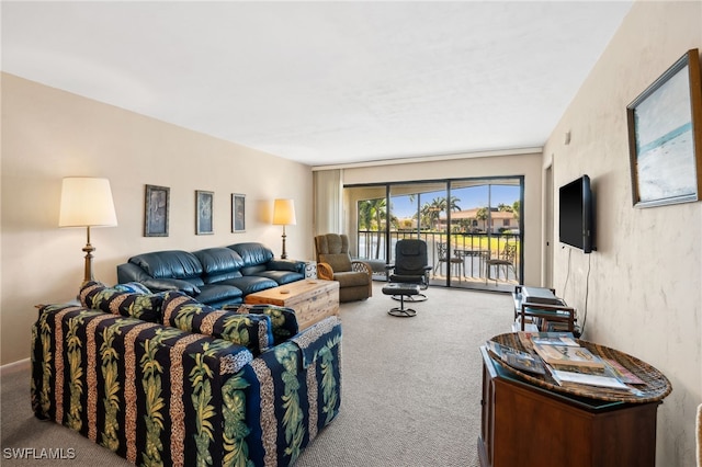 living area with carpet flooring