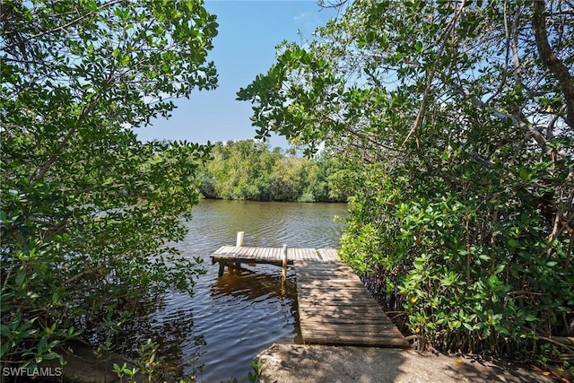 dock area featuring a water view