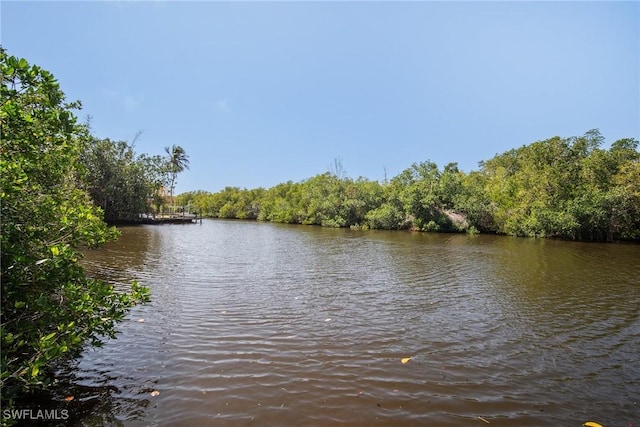 view of water feature with a view of trees