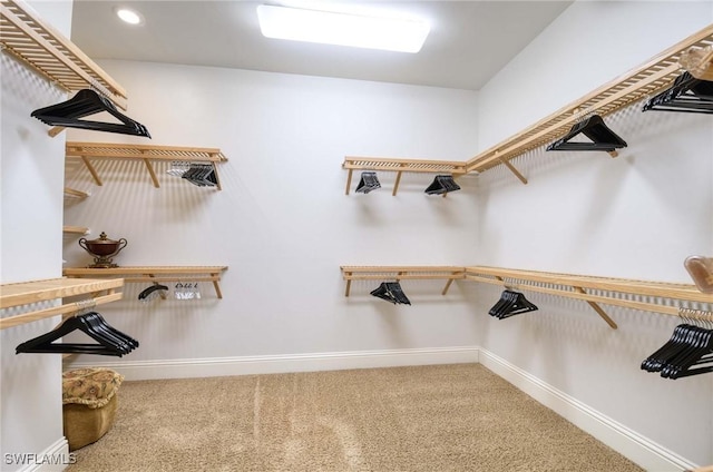 spacious closet featuring carpet flooring