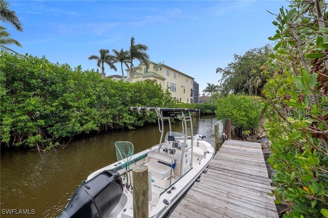 dock area with a water view