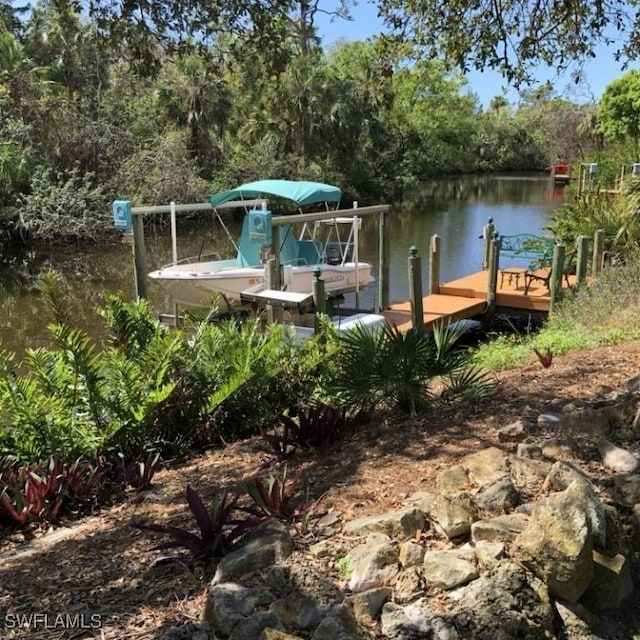 dock area with a water view